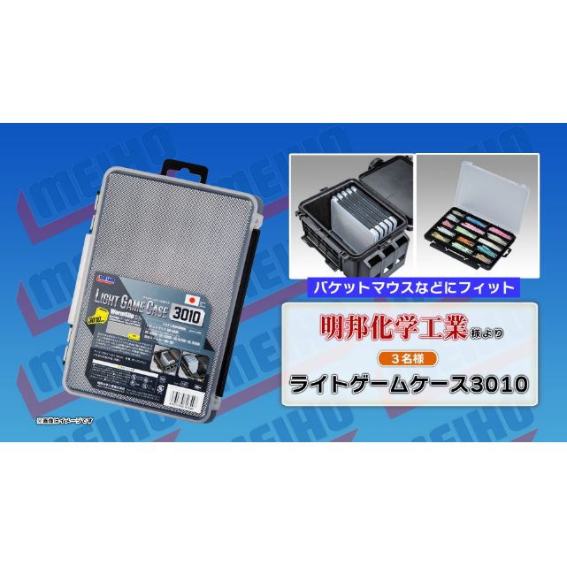 ライトゲームケース3010