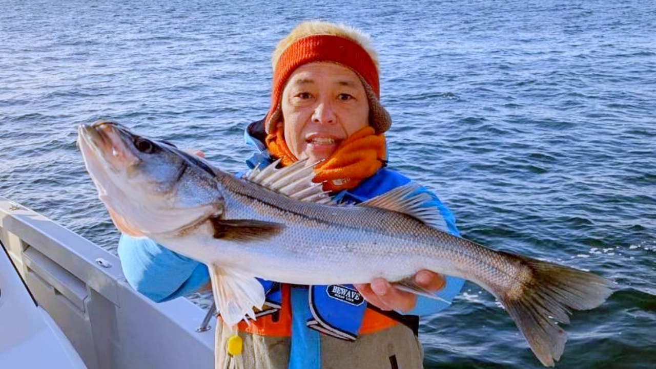 東京湾でビギナーも狙える！？大物GETだぜ！シーバス釣りならまかせろ！