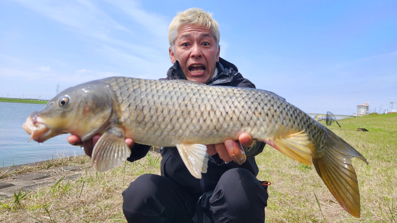 初夏の北利根川でのべ竿釣行！川釣りならまかせろ！